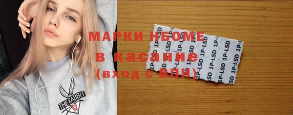 сатива Белокуриха