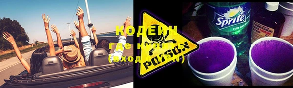 сатива Белокуриха