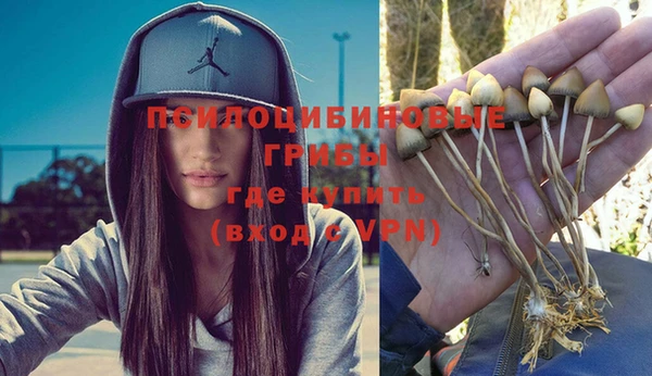 синтетический гашиш Богданович