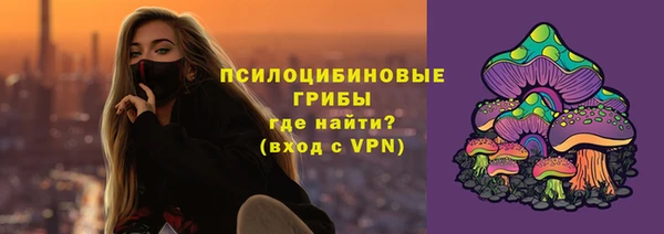 сатива Белокуриха