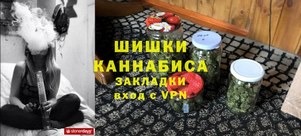 сатива Белокуриха