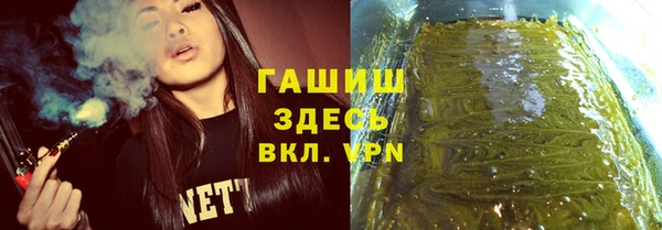 сатива Белокуриха
