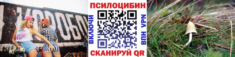 Галлюциногенные грибы мухоморы  где найти   Высоковск 